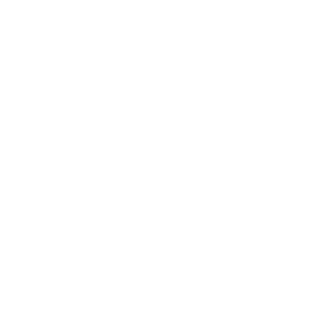 Strength in Motion Films Video production company logo