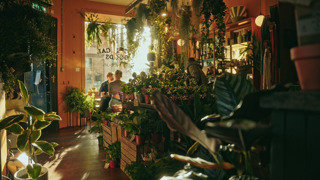 shop interior in promotional video for Edinburgh's shop grow urban