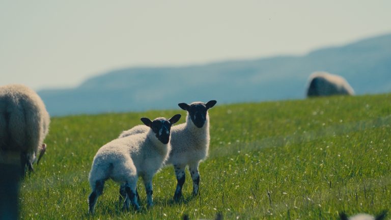 still from farm video production
